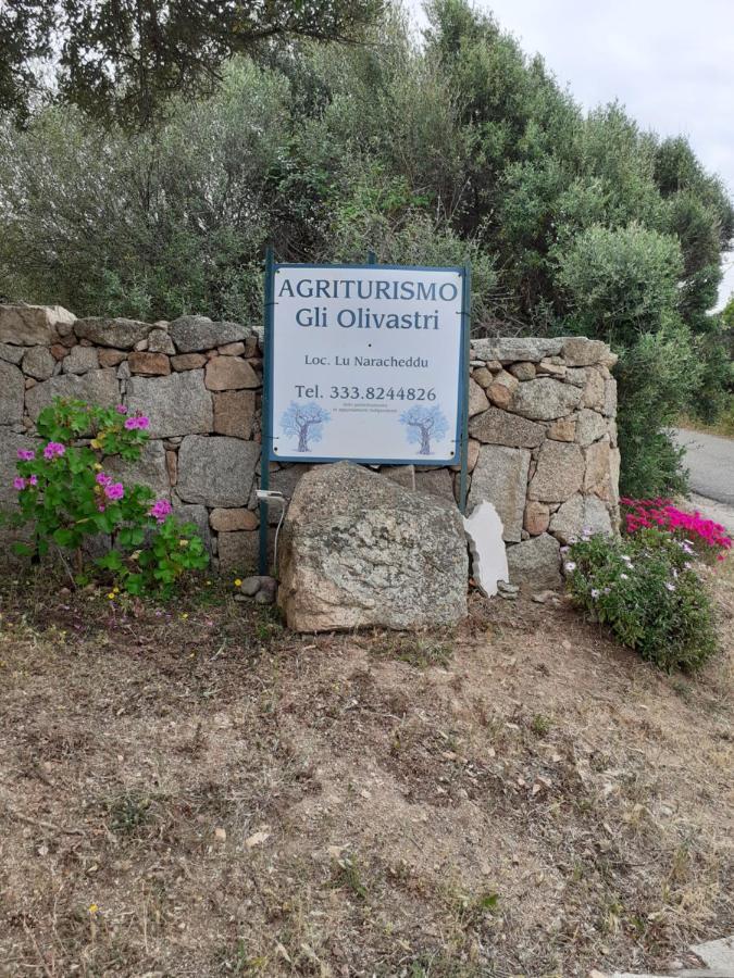 Gli Olivastri Con Piscina,Solarium, Vista Mare ,Sole -Mare E Tanta Natura ,Climatizzatore,Wifi Aglientu Eksteriør billede
