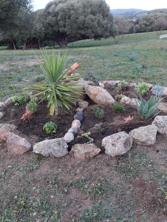 Gli Olivastri Con Piscina,Solarium, Vista Mare ,Sole -Mare E Tanta Natura ,Climatizzatore,Wifi Aglientu Eksteriør billede