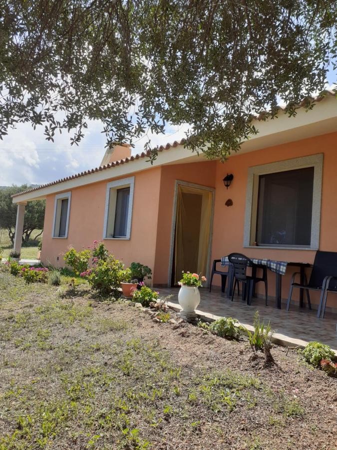 Gli Olivastri Con Piscina,Solarium, Vista Mare ,Sole -Mare E Tanta Natura ,Climatizzatore,Wifi Aglientu Eksteriør billede