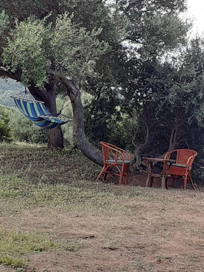 Gli Olivastri Con Piscina,Solarium, Vista Mare ,Sole -Mare E Tanta Natura ,Climatizzatore,Wifi Aglientu Eksteriør billede