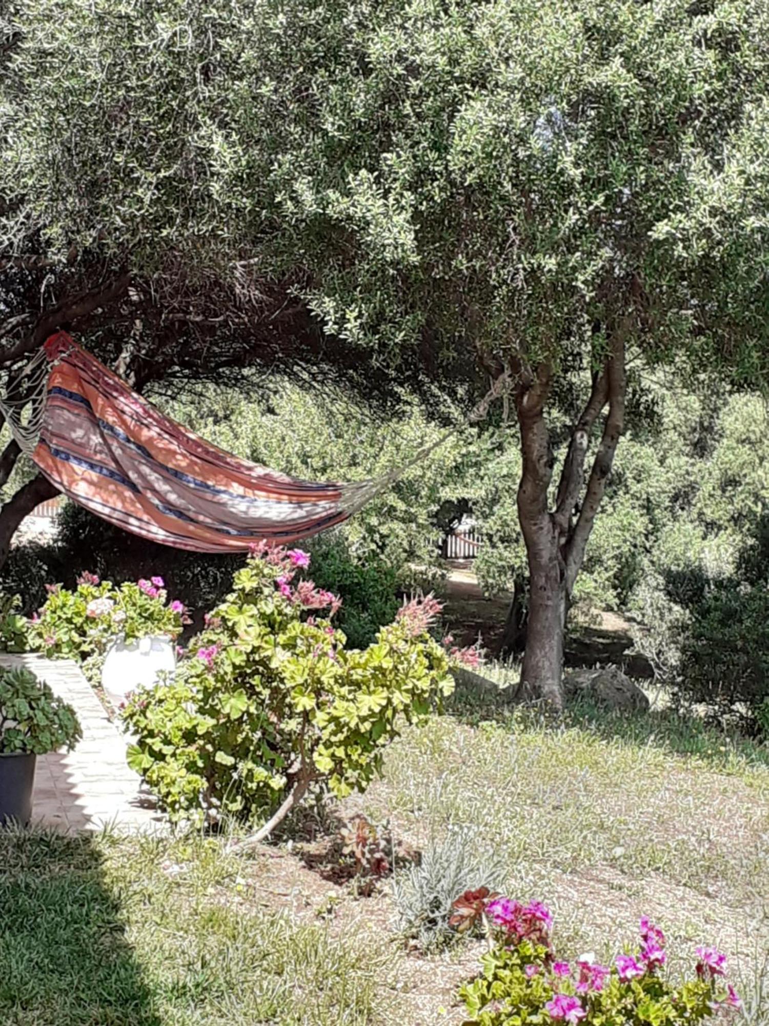 Gli Olivastri Con Piscina,Solarium, Vista Mare ,Sole -Mare E Tanta Natura ,Climatizzatore,Wifi Aglientu Eksteriør billede