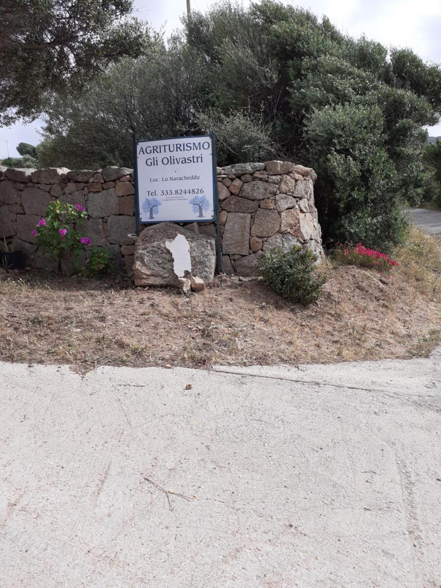 Gli Olivastri Con Piscina,Solarium, Vista Mare ,Sole -Mare E Tanta Natura ,Climatizzatore,Wifi Aglientu Eksteriør billede