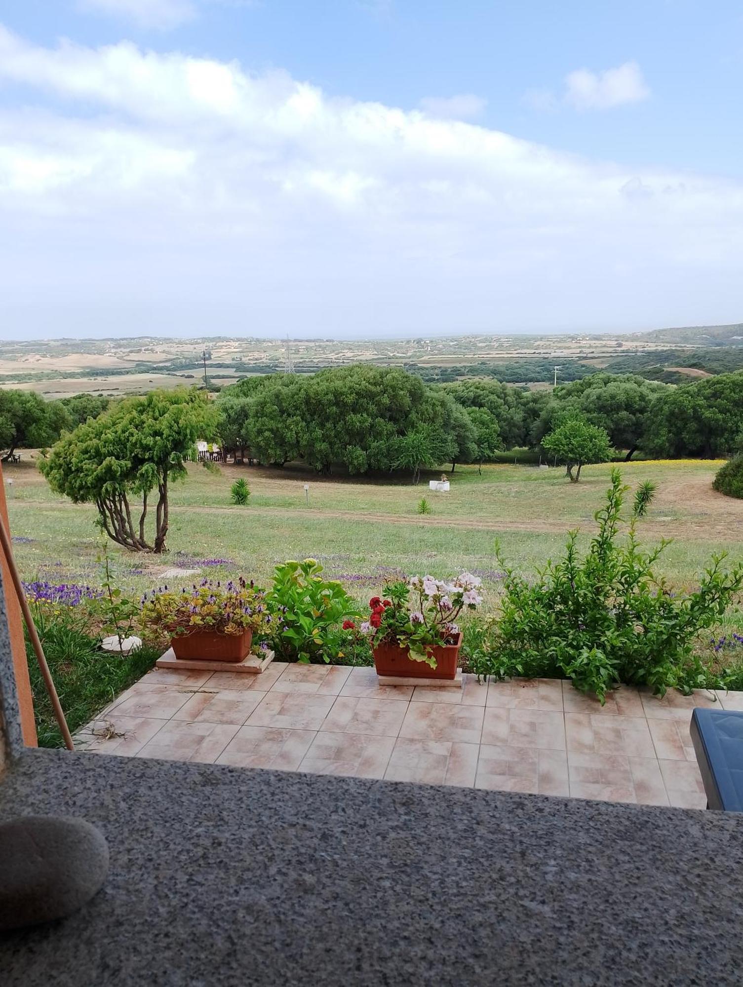 Gli Olivastri Con Piscina,Solarium, Vista Mare ,Sole -Mare E Tanta Natura ,Climatizzatore,Wifi Aglientu Eksteriør billede