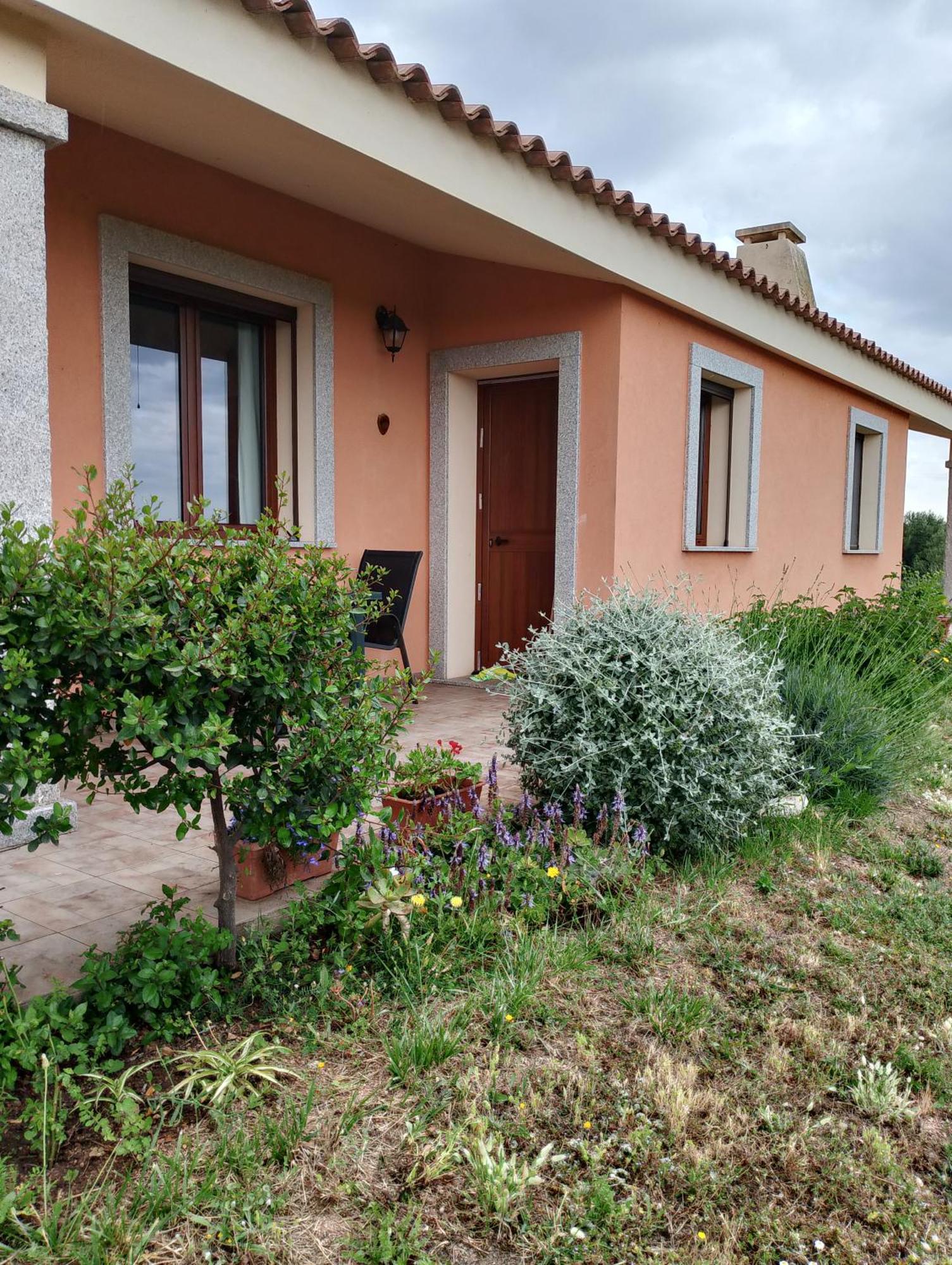 Gli Olivastri Con Piscina,Solarium, Vista Mare ,Sole -Mare E Tanta Natura ,Climatizzatore,Wifi Aglientu Eksteriør billede
