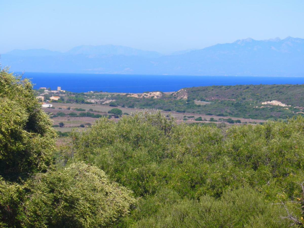 Gli Olivastri Con Piscina,Solarium, Vista Mare ,Sole -Mare E Tanta Natura ,Climatizzatore,Wifi Aglientu Eksteriør billede