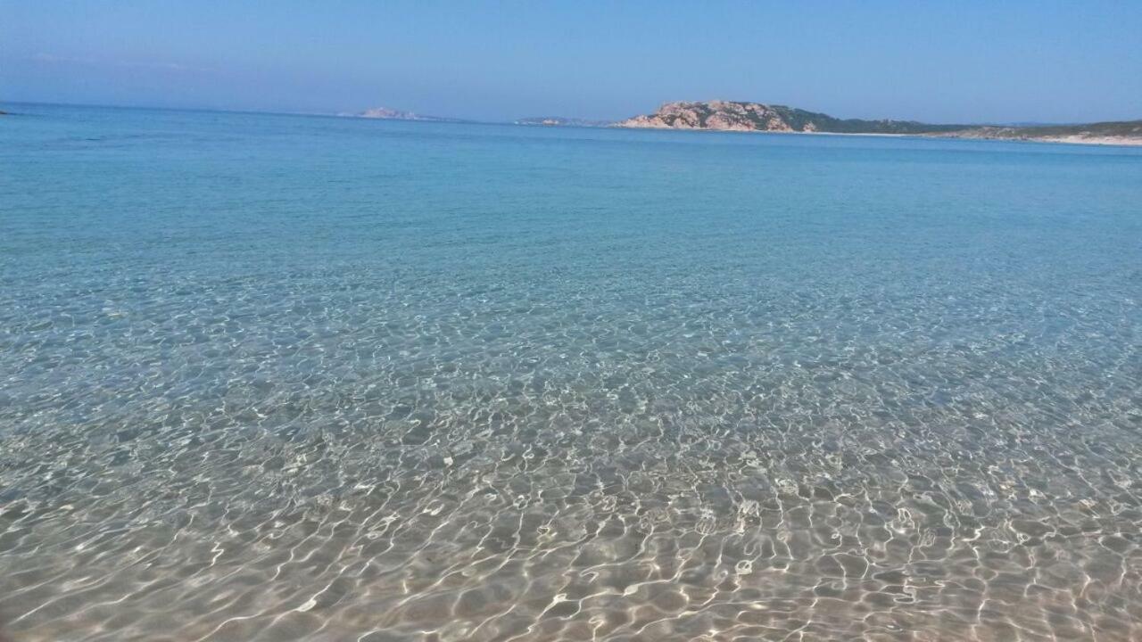 Gli Olivastri Con Piscina,Solarium, Vista Mare ,Sole -Mare E Tanta Natura ,Climatizzatore,Wifi Aglientu Eksteriør billede
