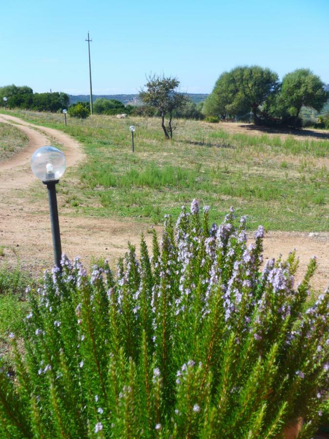 Gli Olivastri Con Piscina,Solarium, Vista Mare ,Sole -Mare E Tanta Natura ,Climatizzatore,Wifi Aglientu Eksteriør billede