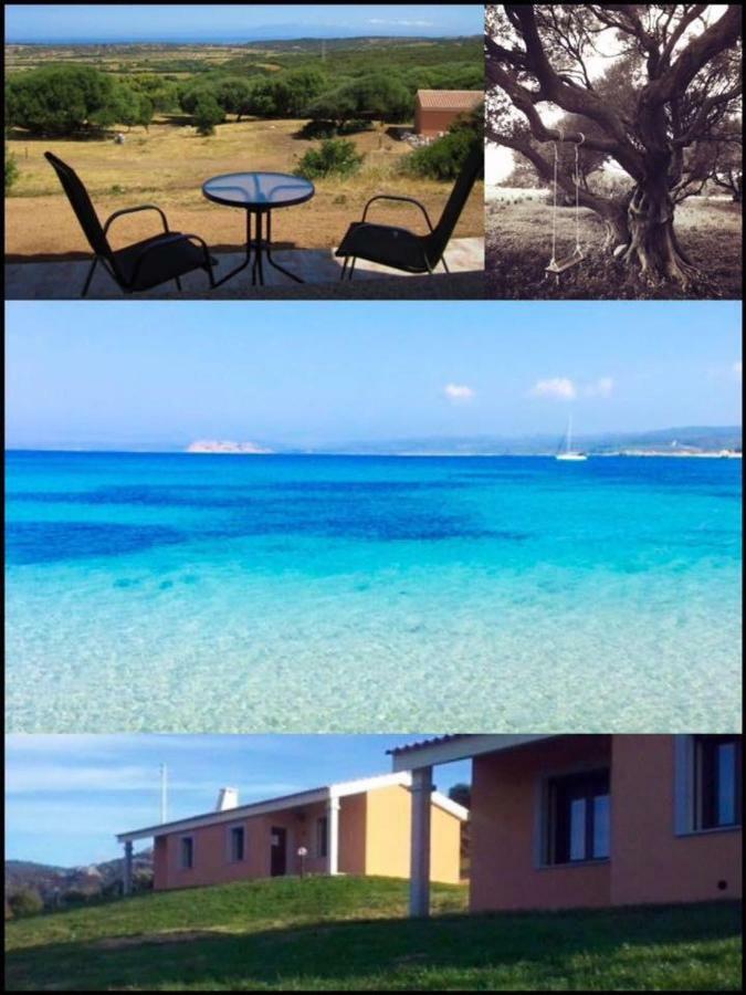 Gli Olivastri Con Piscina,Solarium, Vista Mare ,Sole -Mare E Tanta Natura ,Climatizzatore,Wifi Aglientu Eksteriør billede