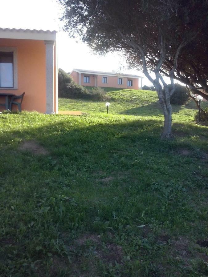 Gli Olivastri Con Piscina,Solarium, Vista Mare ,Sole -Mare E Tanta Natura ,Climatizzatore,Wifi Aglientu Eksteriør billede